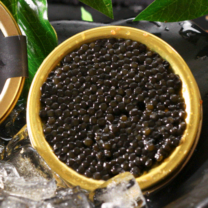 Beluga caviar from Russia-MHW