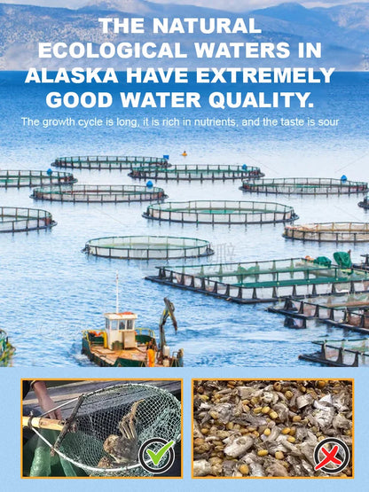 🦀Alaskan Snow Crab Ready-to-EatCrispy Crab-MHW