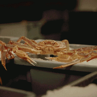 🤞High Protein Crab Leg Seafood Snack, Low Carb Friendly, Ready-to-Eat Ocean Flavor Treat